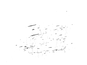 CrossFit Scheveningen Logo
